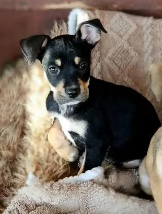 Kiera