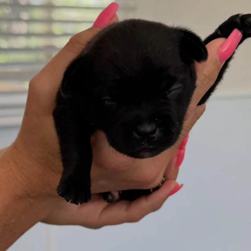 Sprout thumbnail 3
