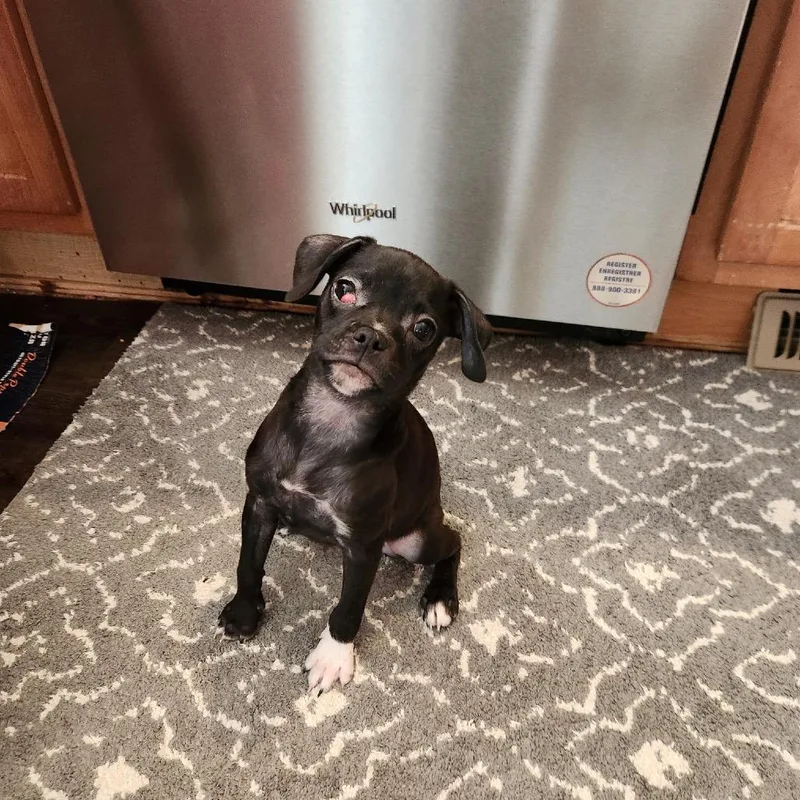 Zoey