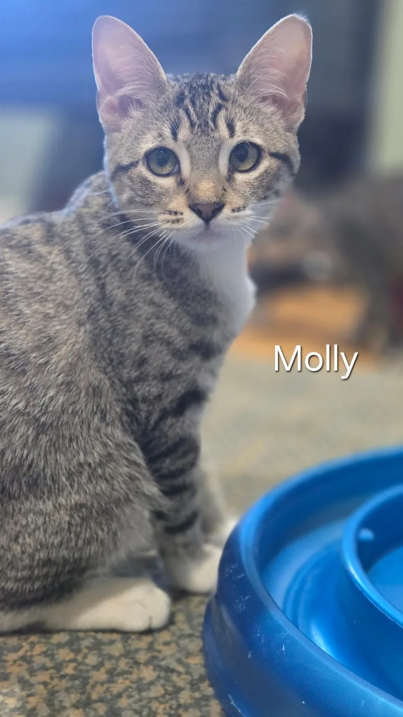 Molly & Phoebe thumbnail 3