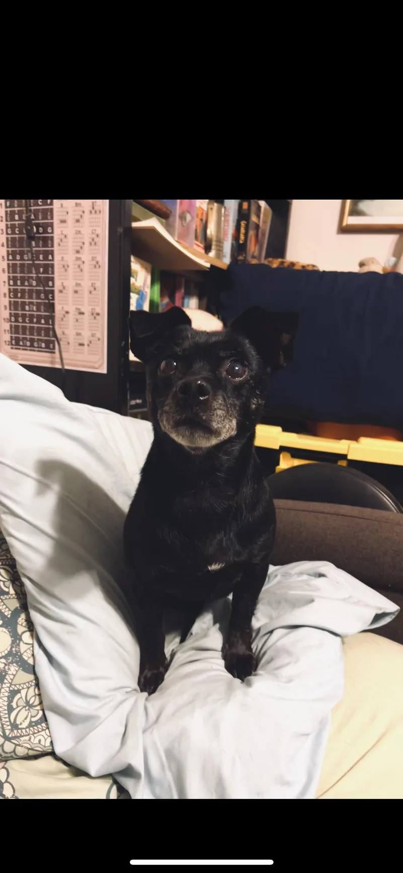 Lola thumbnail 5