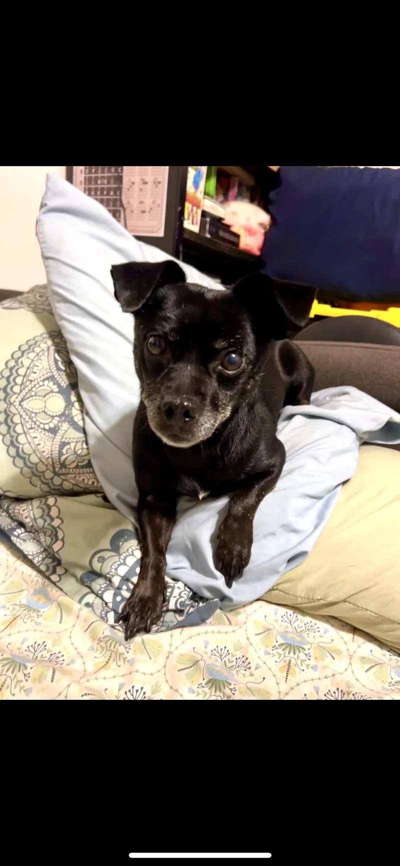 Lola thumbnail 6
