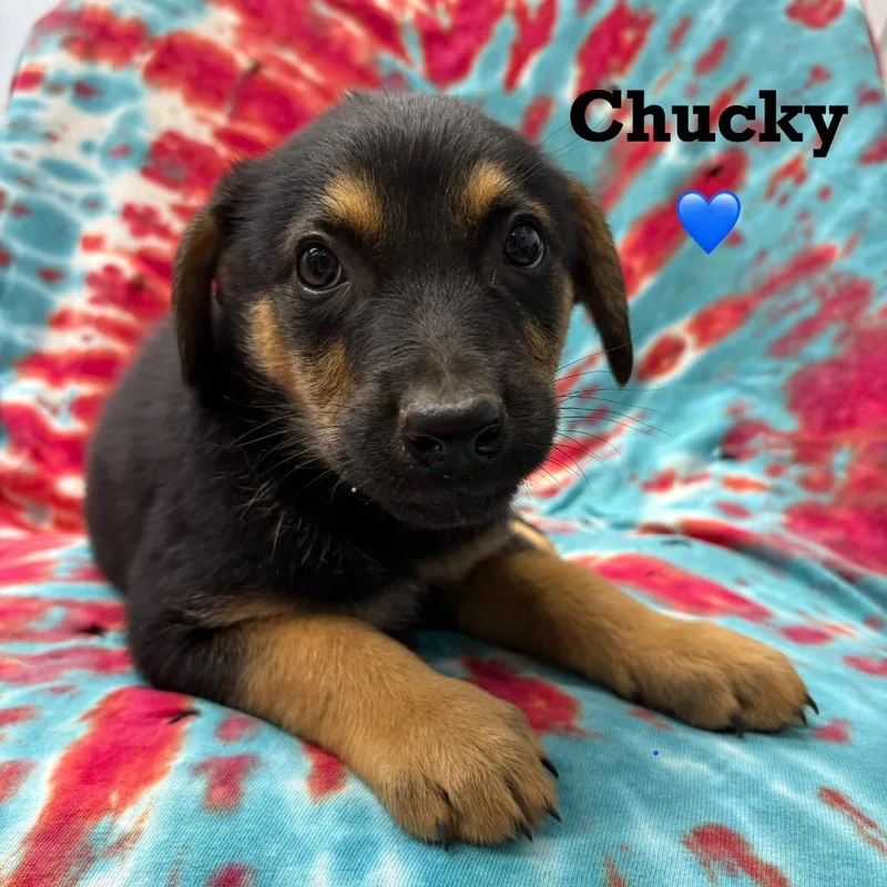 Chucky