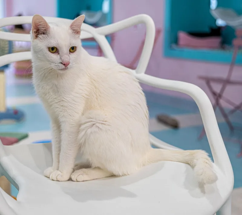 Polar Bear  Kbc thumbnail 3