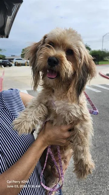 Milo