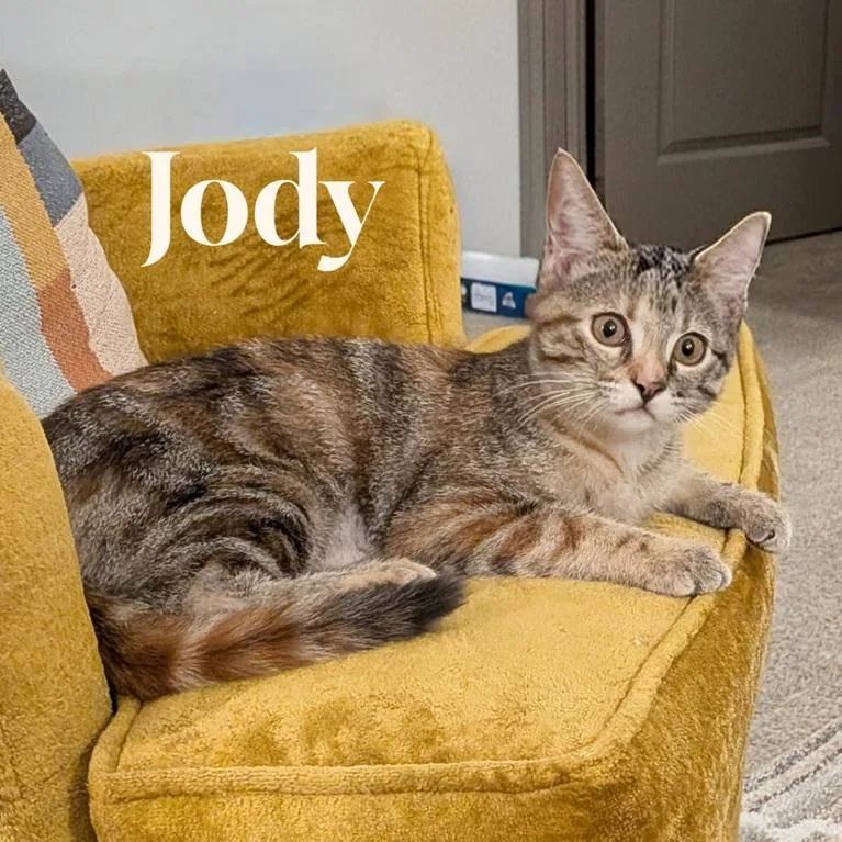 Jody thumbnail 2