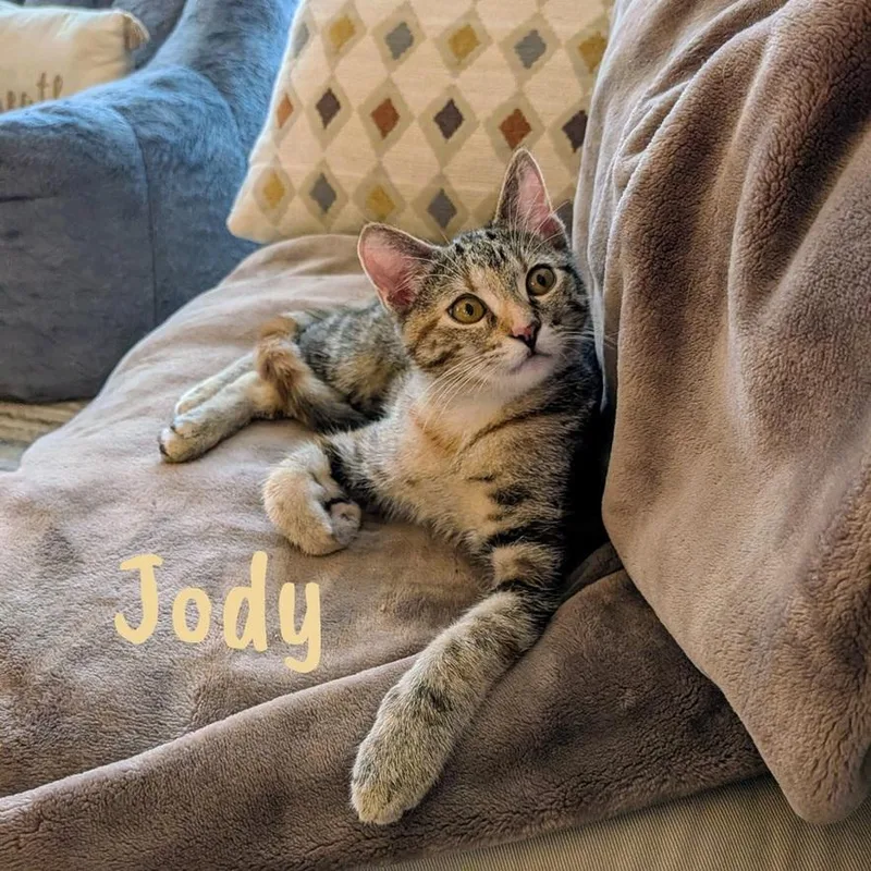 Jody thumbnail 3