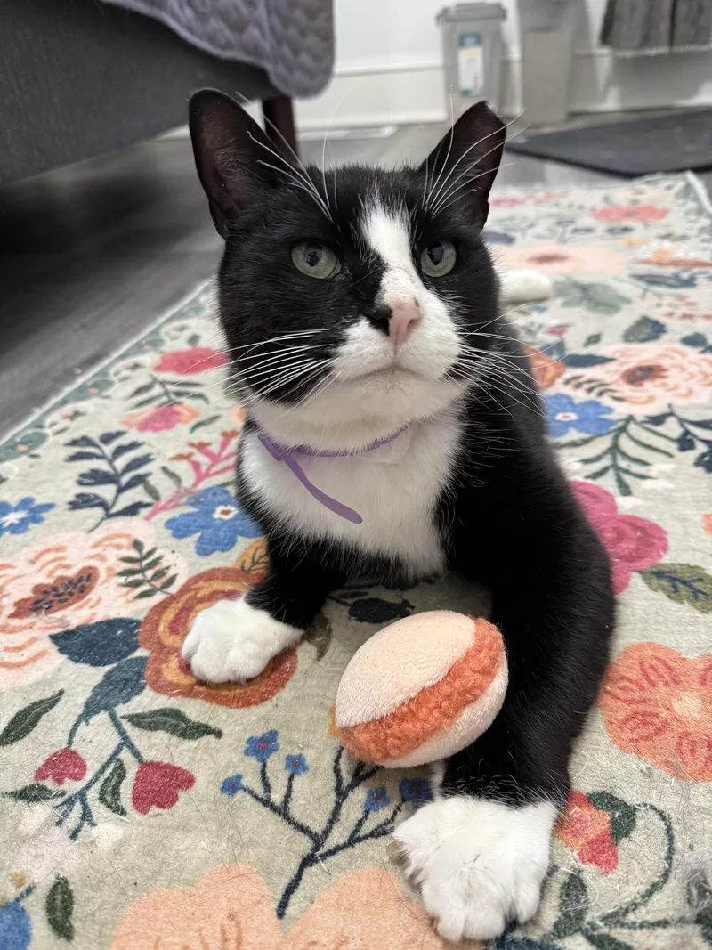 Bernie Parent thumbnail 3