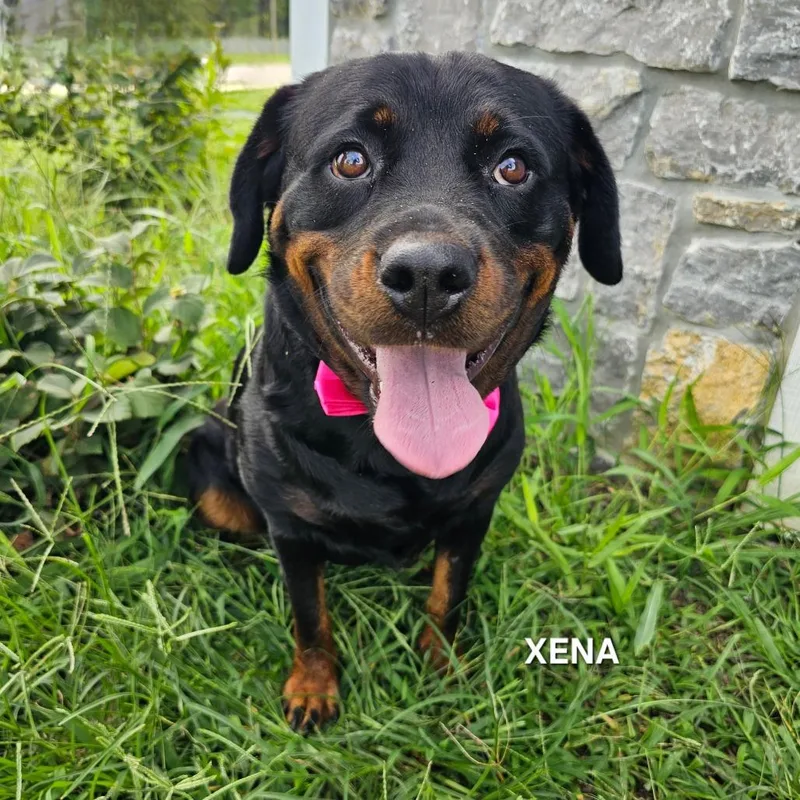 Xena