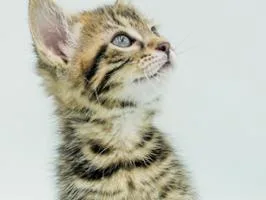 Lexie Is So Darn thumbnail 4