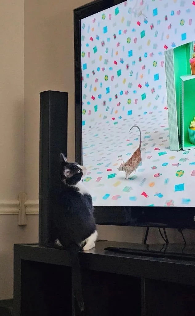 Sylvester thumbnail 5