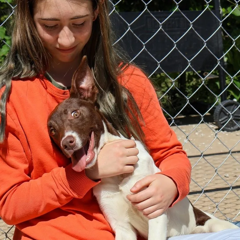 Nala thumbnail 2