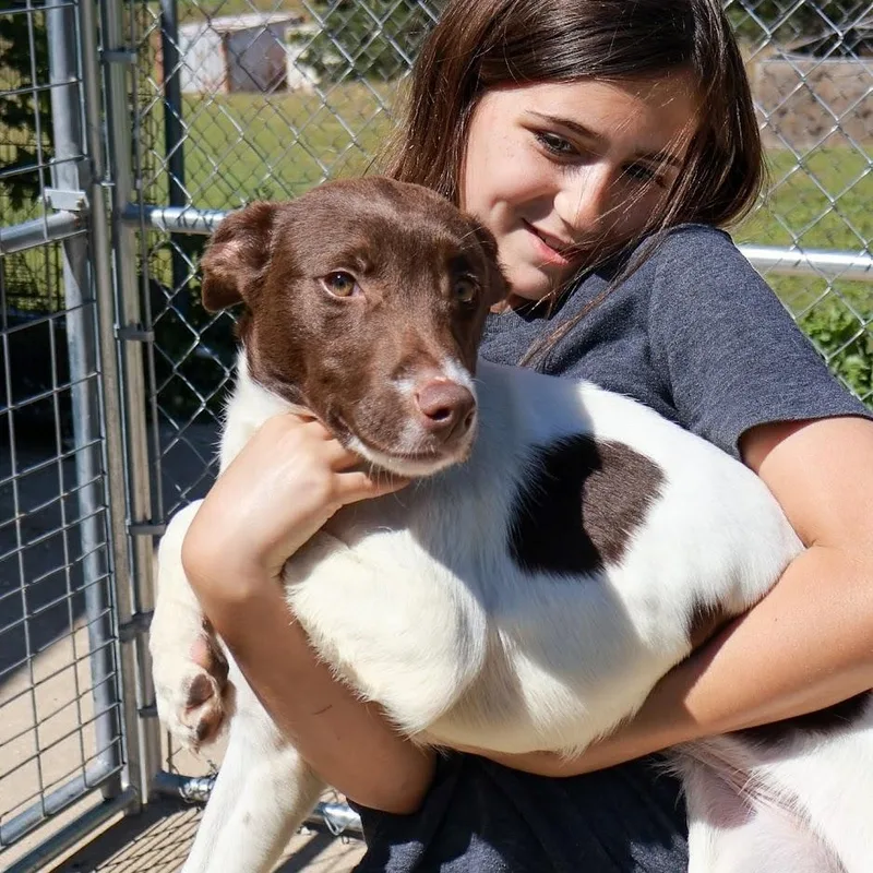 Nala thumbnail 4