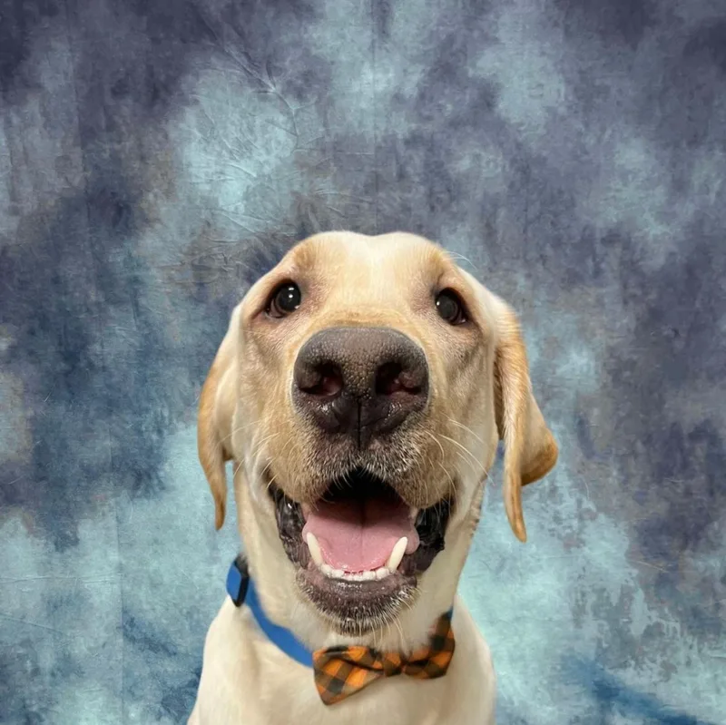 Remington
