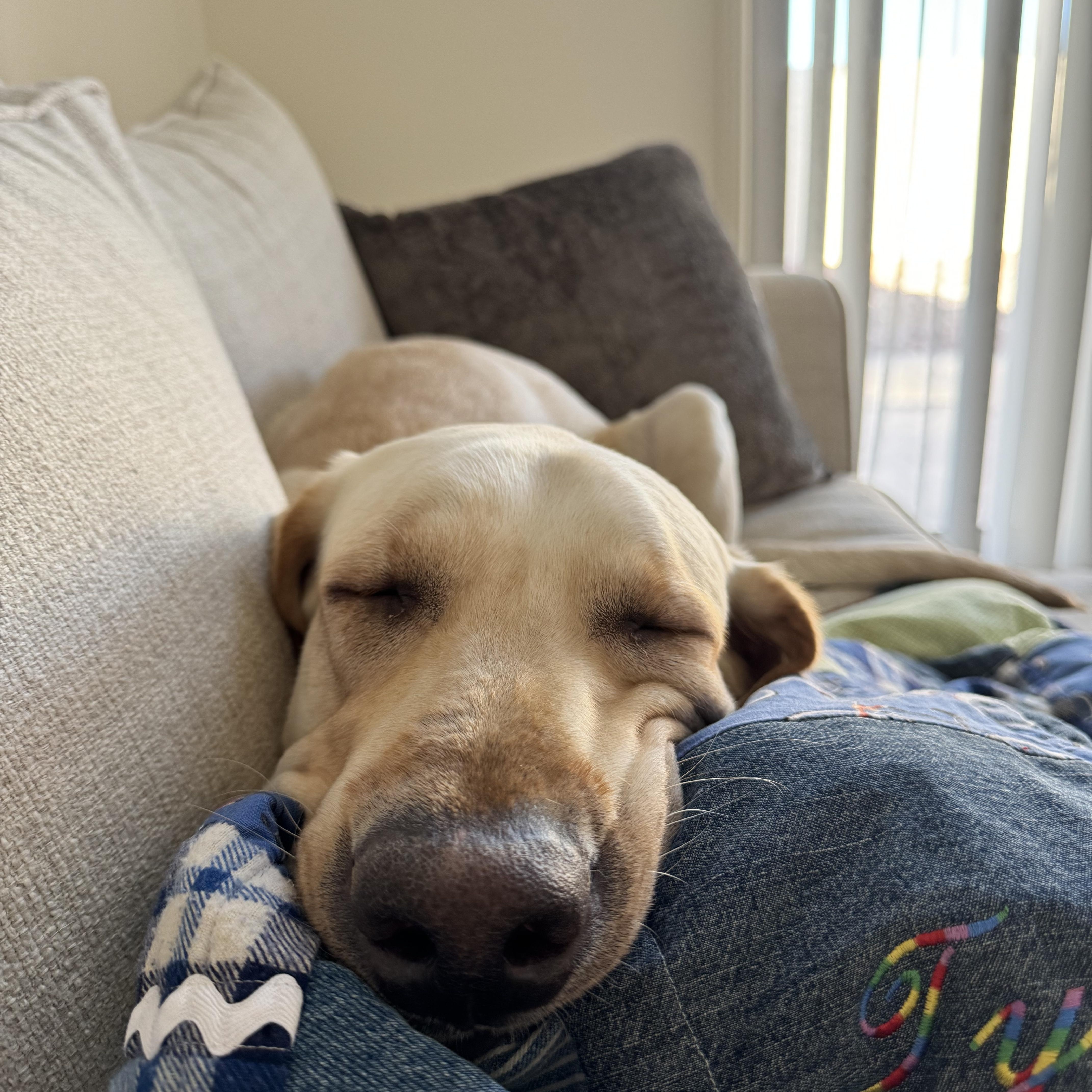 Remington thumbnail 3