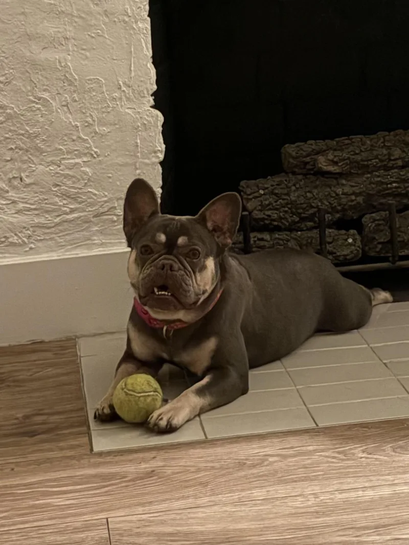 Layla thumbnail 4
