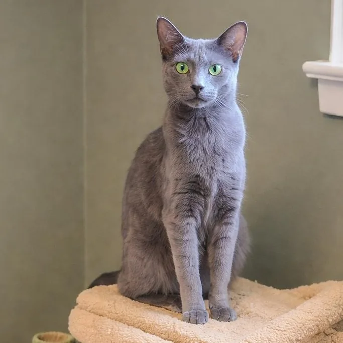 Samantha thumbnail 2