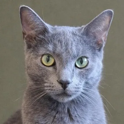 Samantha thumbnail 3