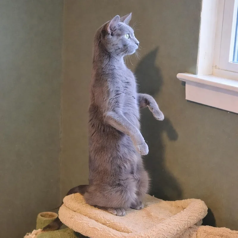 Samantha thumbnail 4