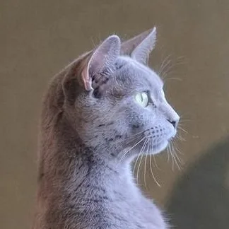 Samantha thumbnail 5