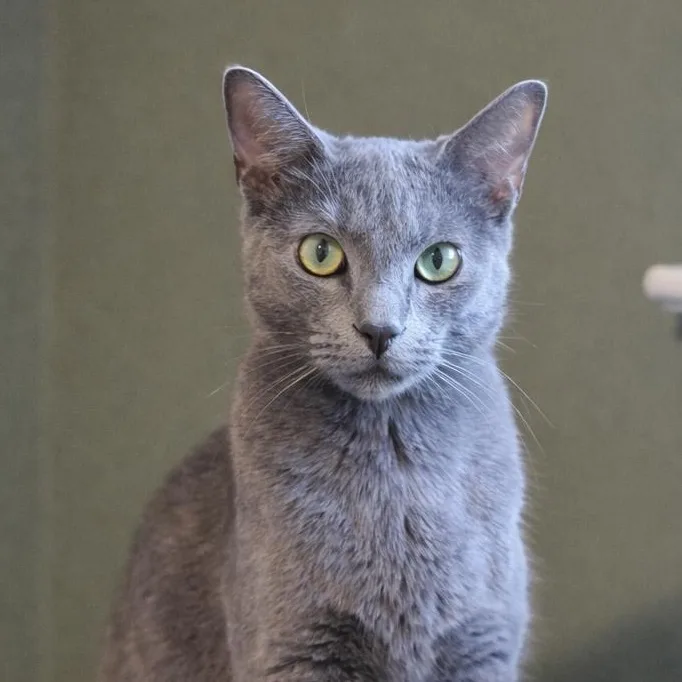 Samantha thumbnail 6