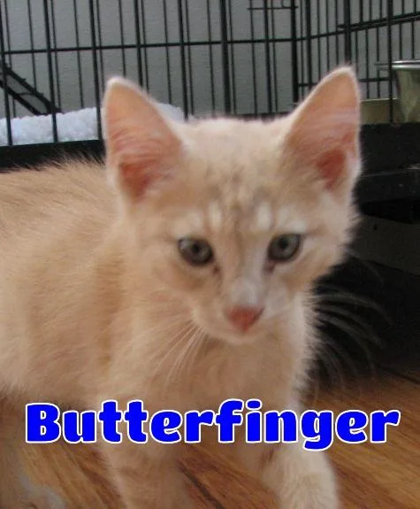 Butterfinger thumbnail 2
