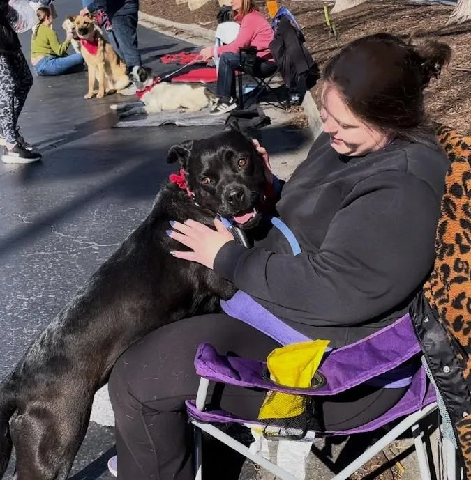 Bonnie Sweetheart Had Professional thumbnail 2