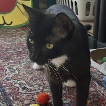 Bootsy Boo Boo thumbnail 3