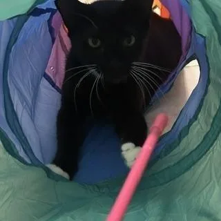 Bootsy Boo Boo thumbnail 5