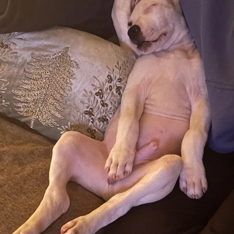 Ethan Allen thumbnail 4