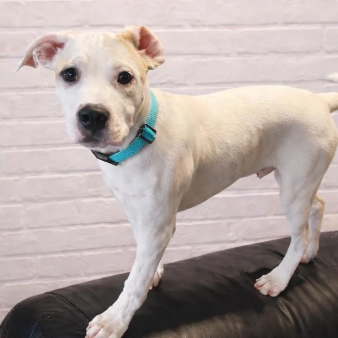 Ethan Allen thumbnail 5