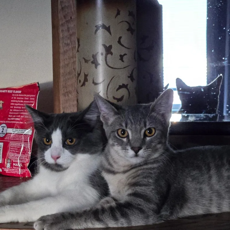 Flourescent thumbnail 2