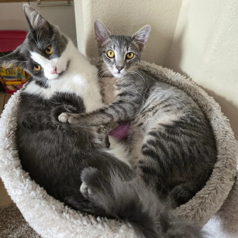 Flourescent thumbnail 3