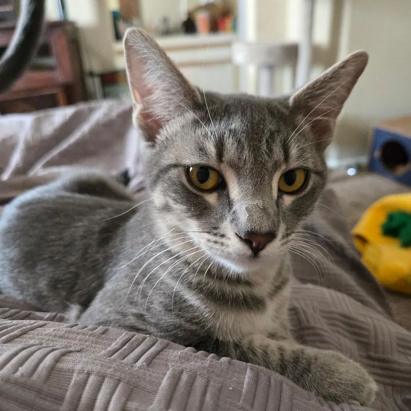 Flourescent thumbnail 4