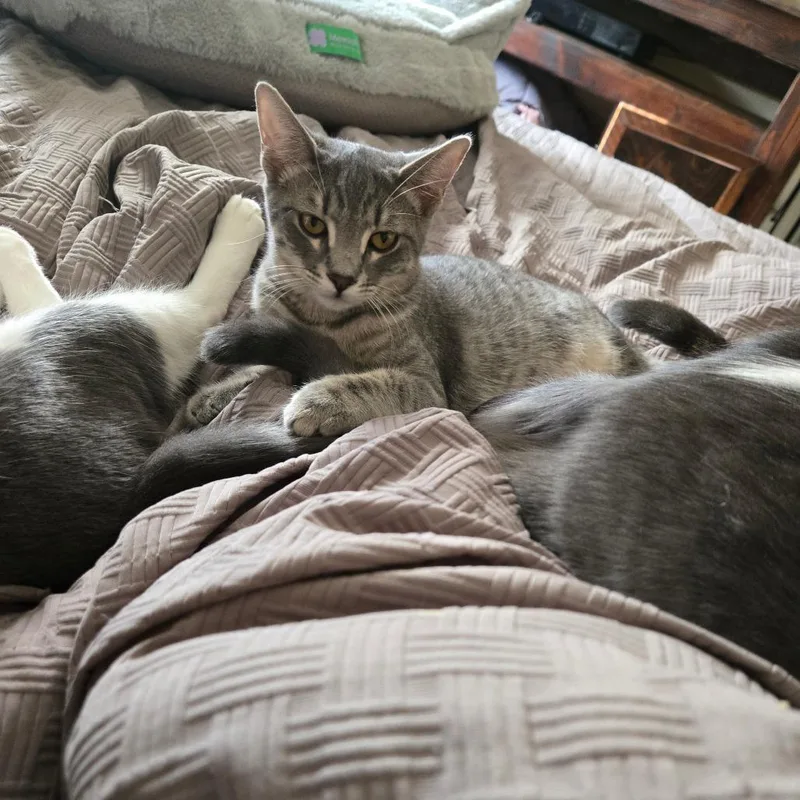 Flourescent thumbnail 5