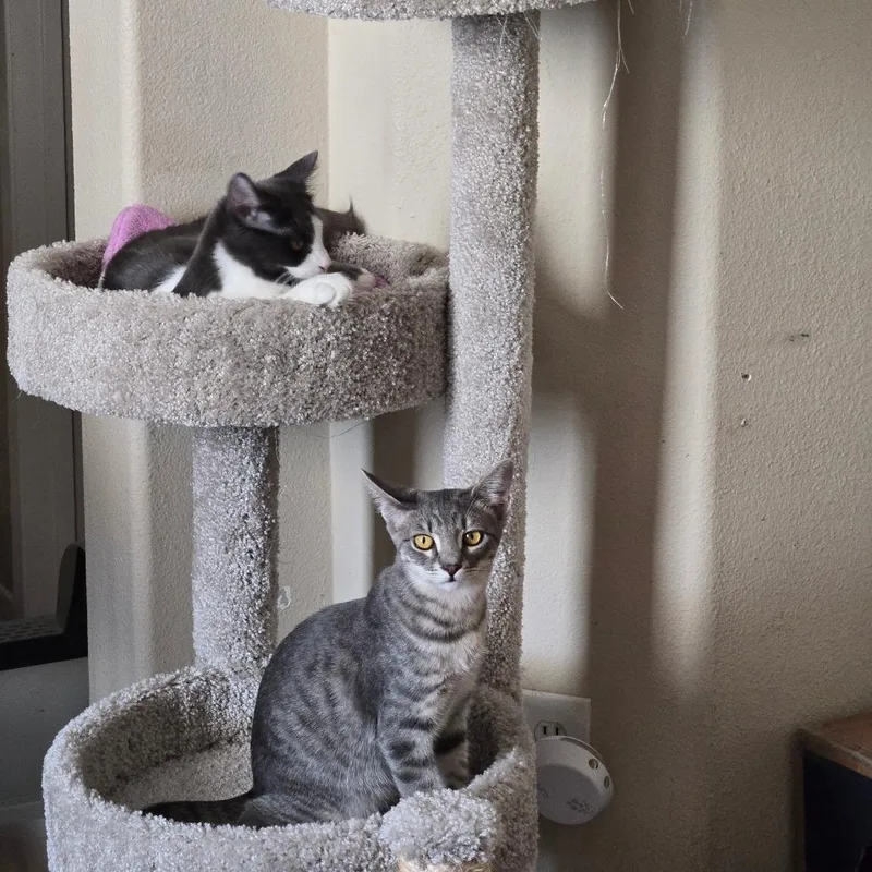 Flourescent thumbnail 6