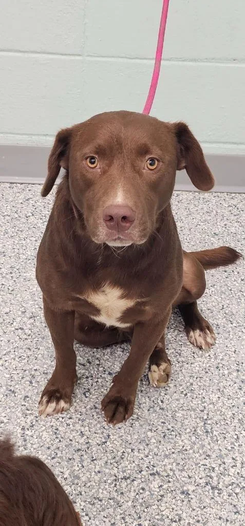 Max