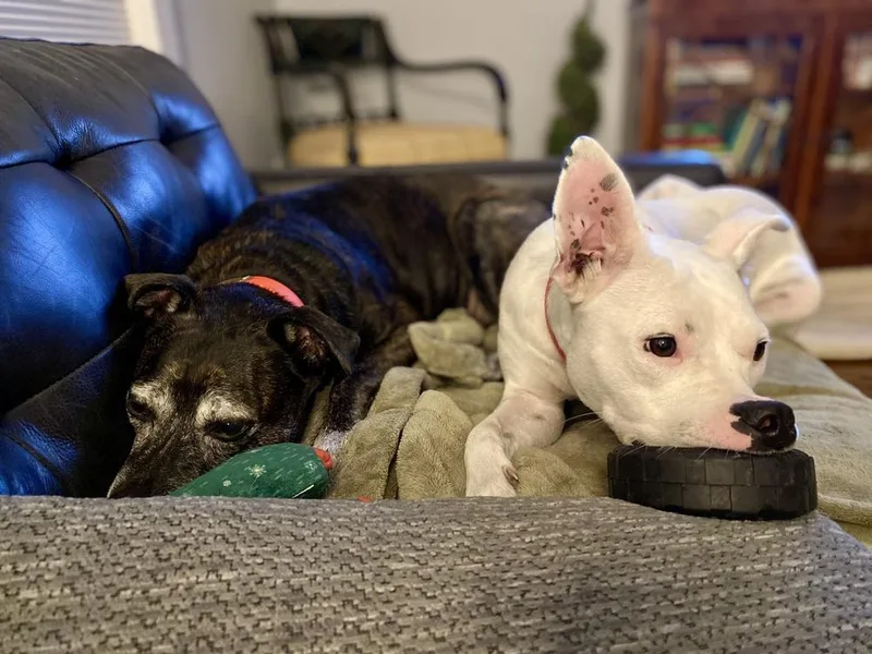 Betty White thumbnail 4