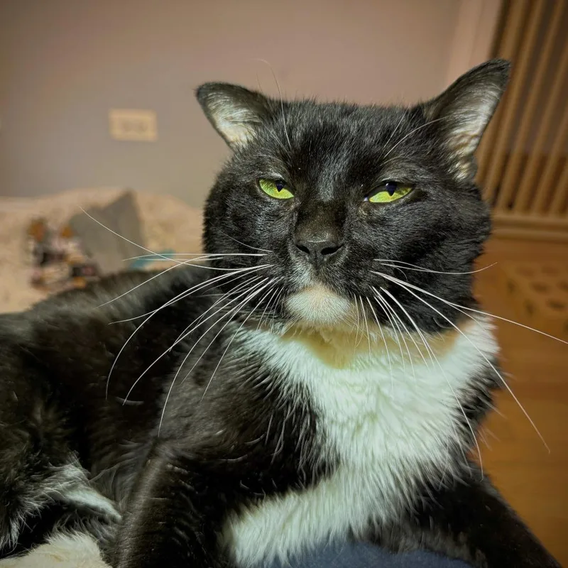Norbert thumbnail 2