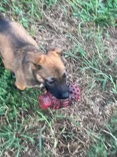 Xena