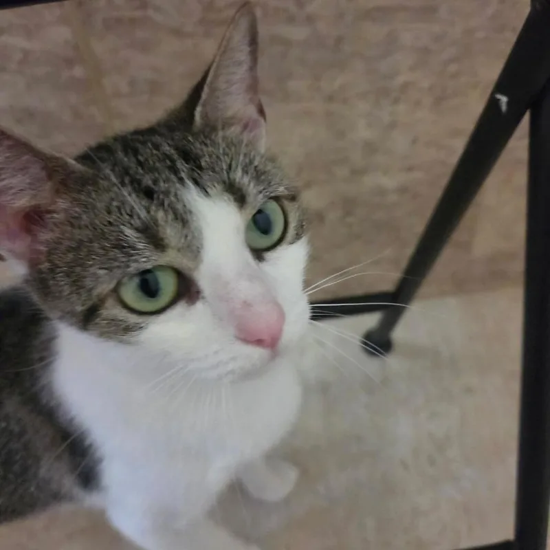 Penelope thumbnail 6