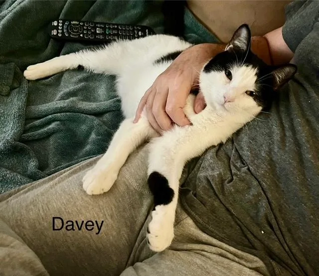 Davey thumbnail 3