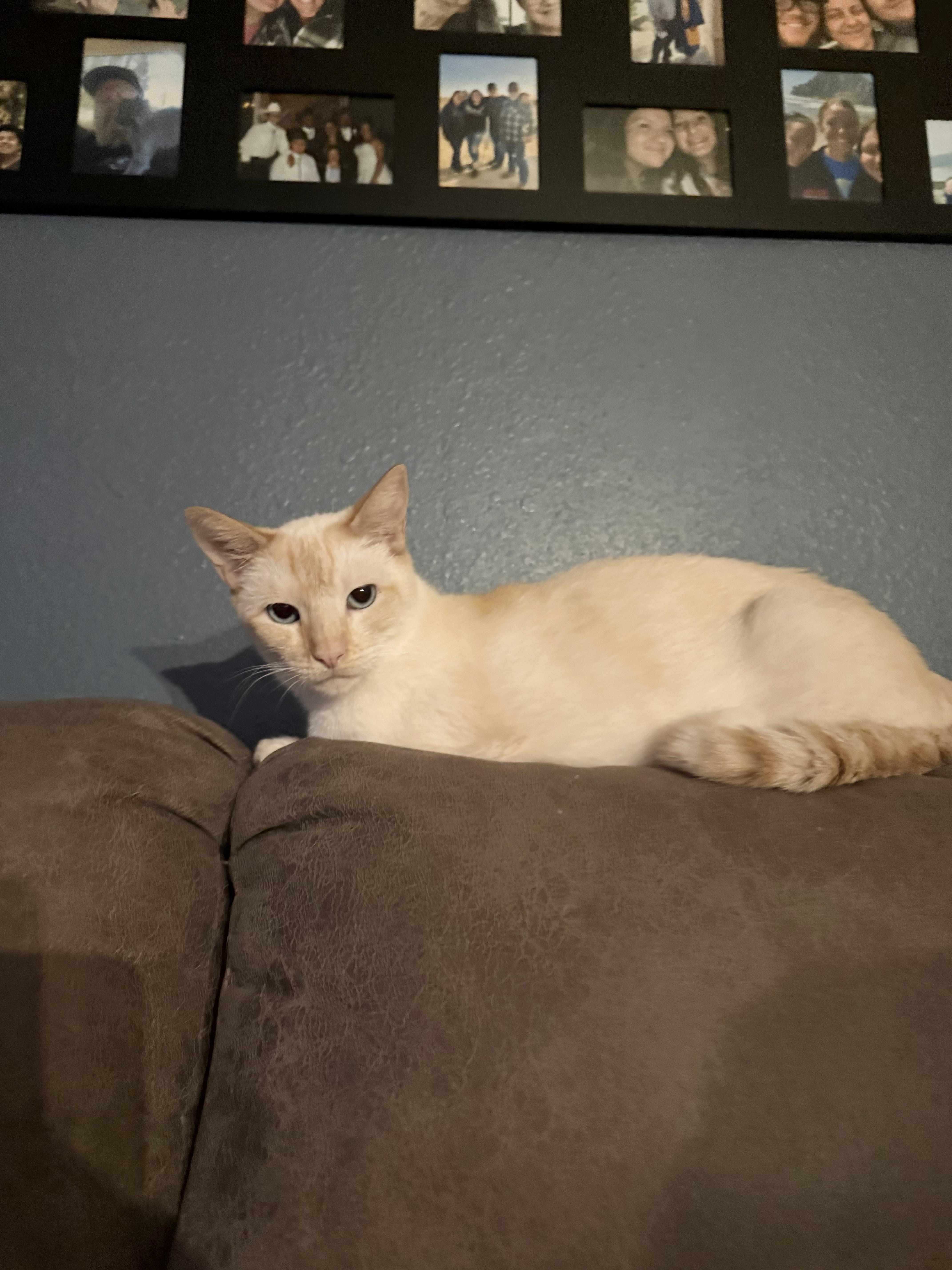 Kiki