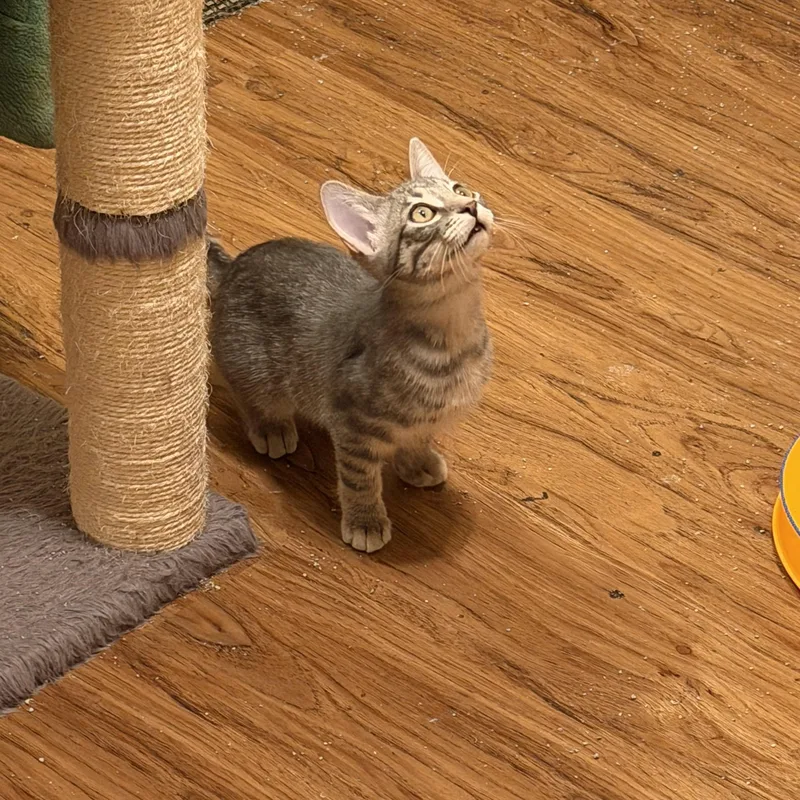 Gabriella & Olga thumbnail 2