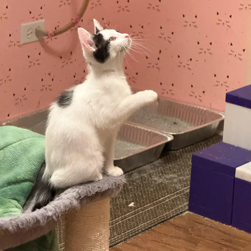 Gabriella & Olga thumbnail 4