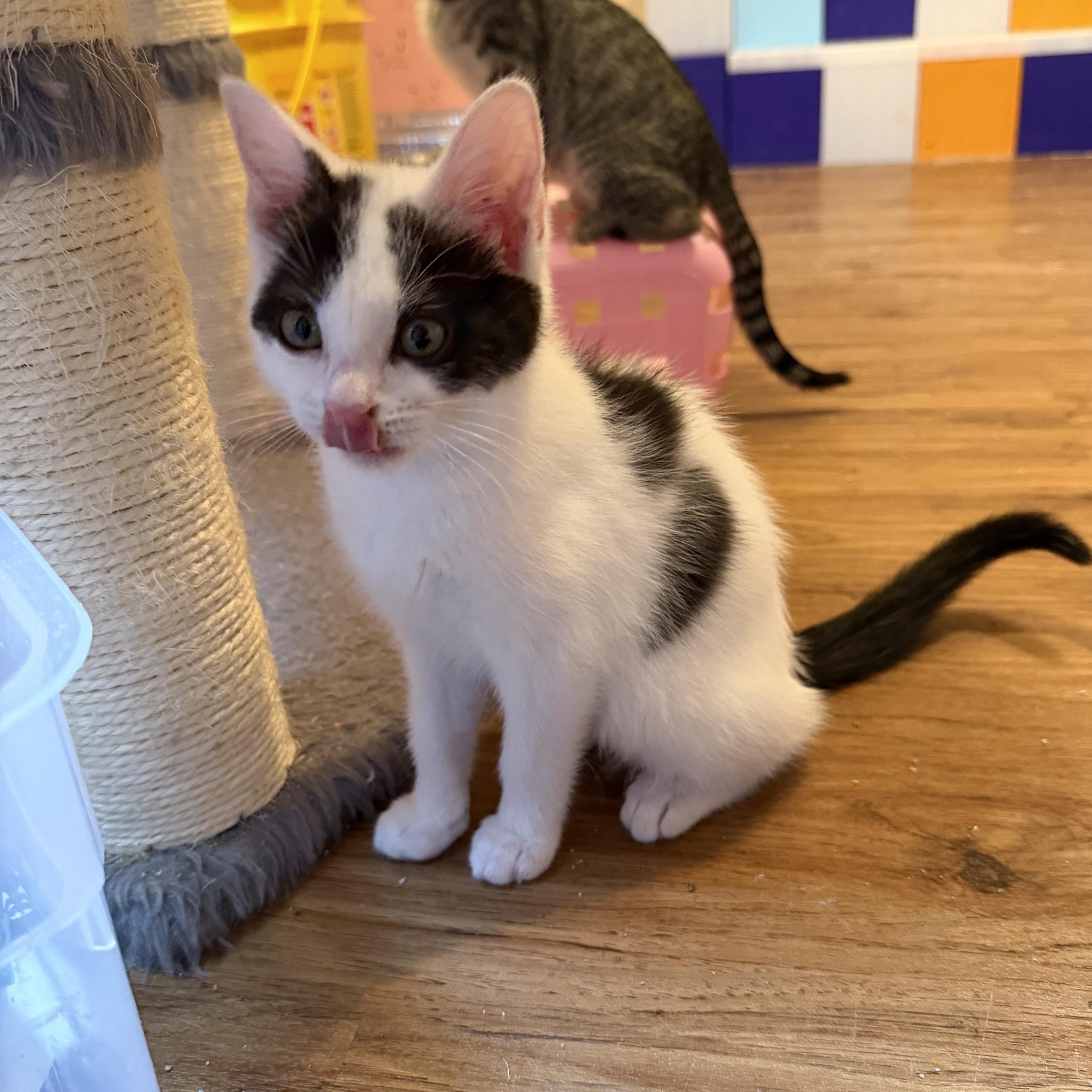 Gabriella & Olga thumbnail 5