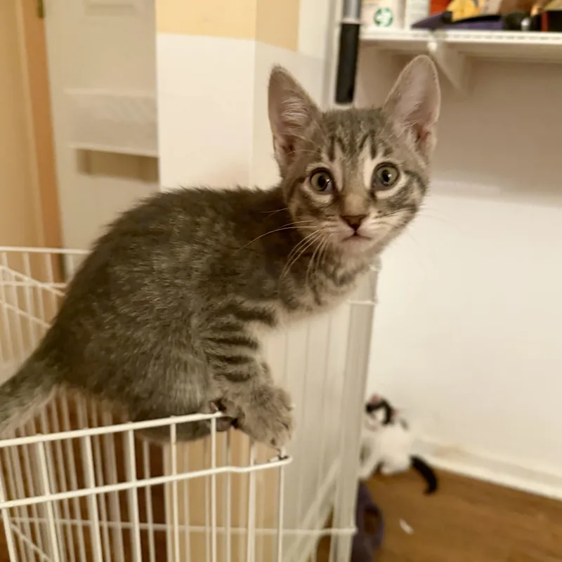 Gabriella & Olga thumbnail 6