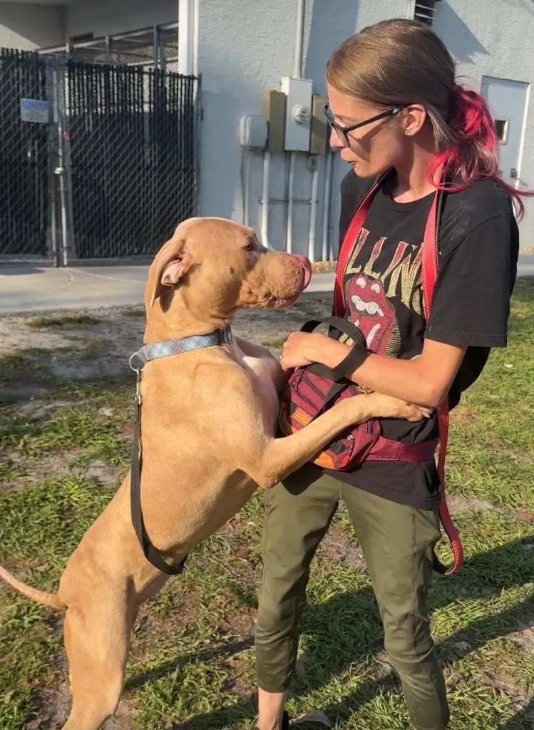 Catarinabig  Sweet Hugger! thumbnail 2