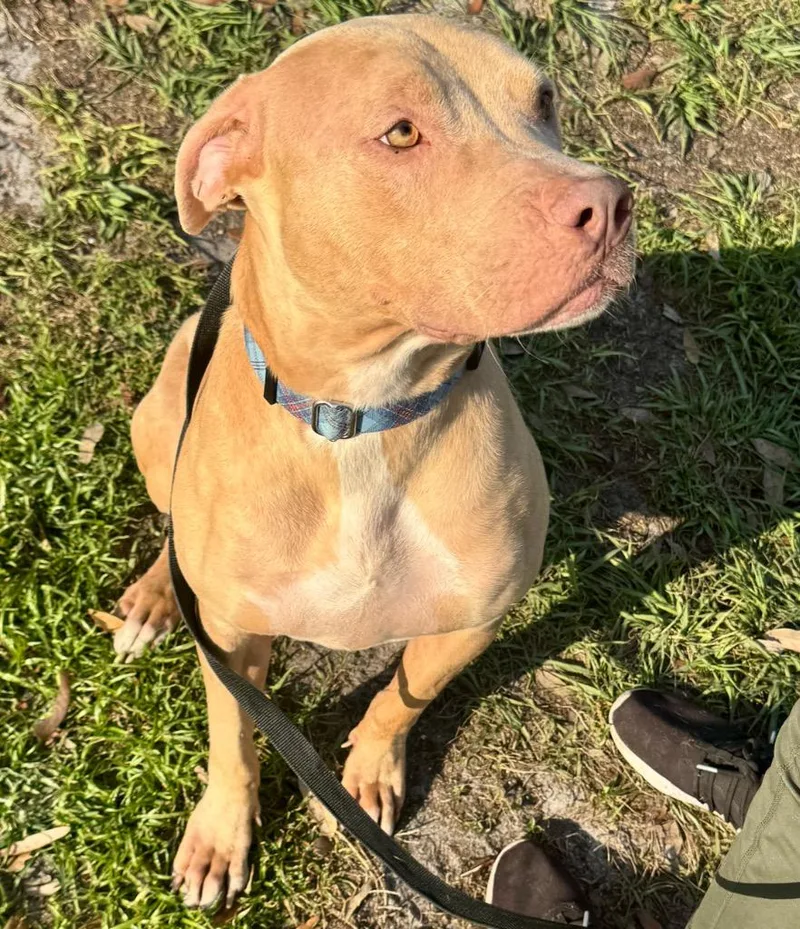 Catarinabig  Sweet Hugger! thumbnail 3