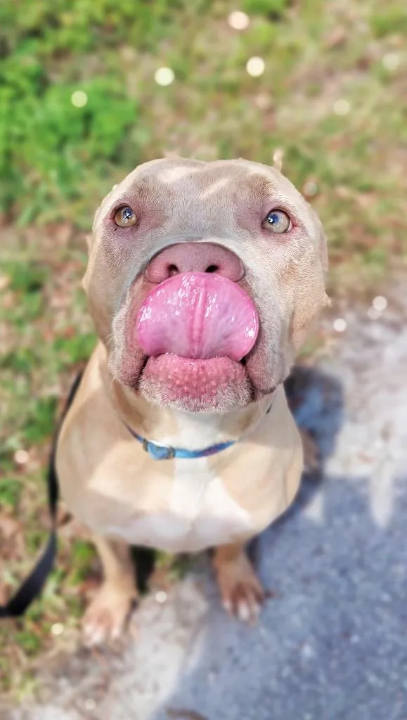 Catarinabig  Sweet Hugger! thumbnail 4